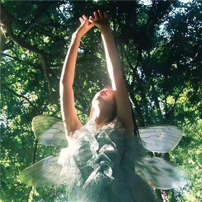 历少的独宠娇妻